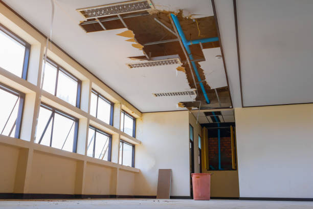 Best Sewage cleanup and water damage restoration  in Englewood Cliffs, NJ