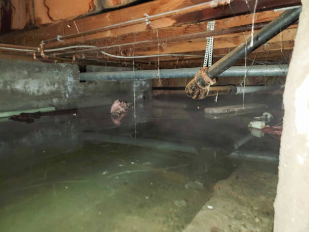 Reliable Englewood Cliffs, NJ Water damage restoration Solutions