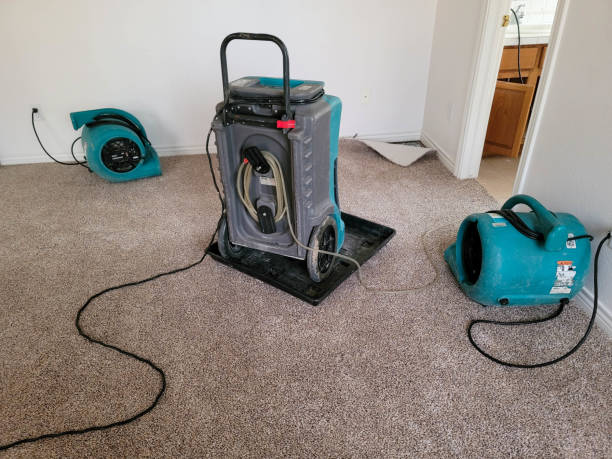Best Commercial water damage restoration  in Englewood Cliffs, NJ