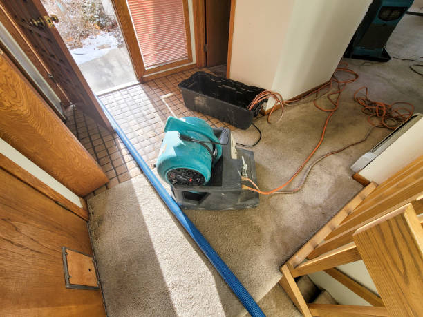 Best Flooded house restoration  in Englewood Cliffs, NJ