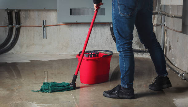 Best Fire Damage Restoration  in Englewood Cliffs, NJ
