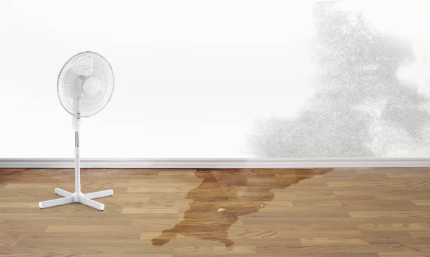 Best Water damage restoration near me  in Englewood Cliffs, NJ