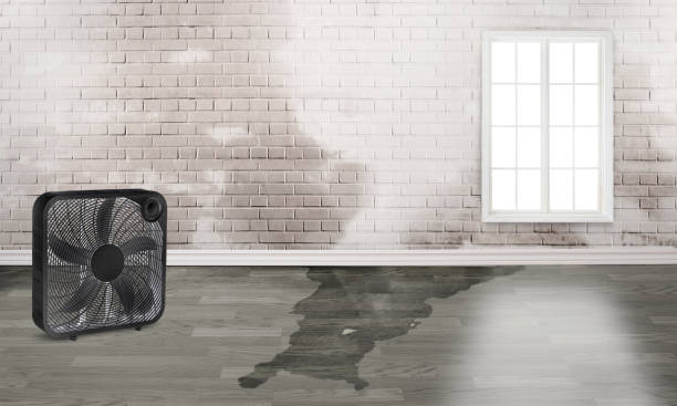 Best 24/7 water damage repair  in Englewood Cliffs, NJ